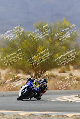 media/Apr-10-2022-SoCal Trackdays (Sun) [[f104b12566]]/Turn 5 Tree of Life (1040am)/